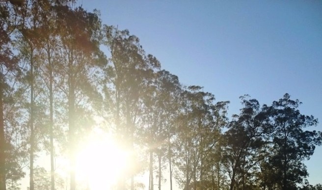 9295059f-275e-430d-a03b-f8d0a5a9ccf0